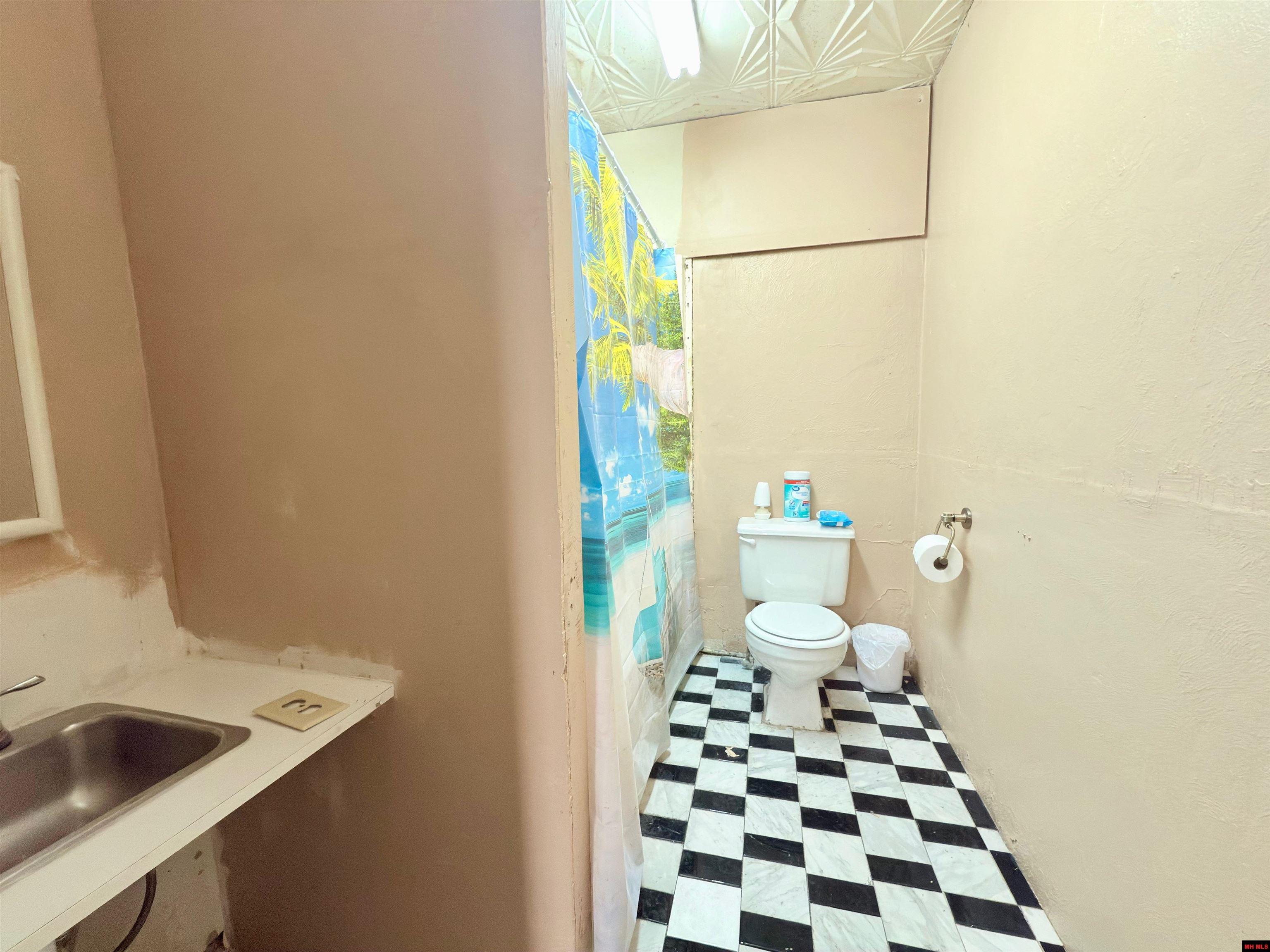 201 & 203 MAIN STREET Flippin, AR