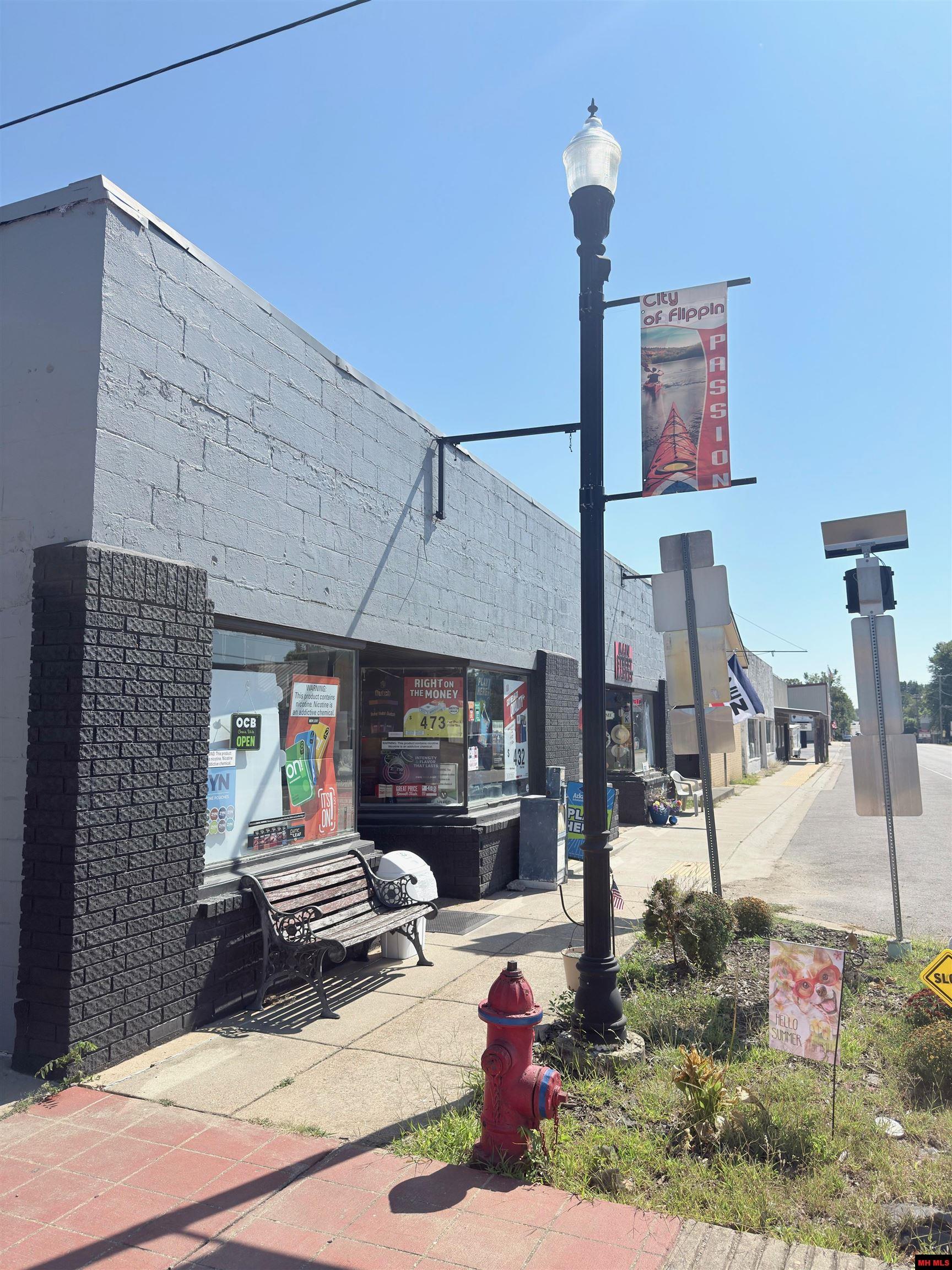 201 & 203 MAIN STREET Flippin, AR