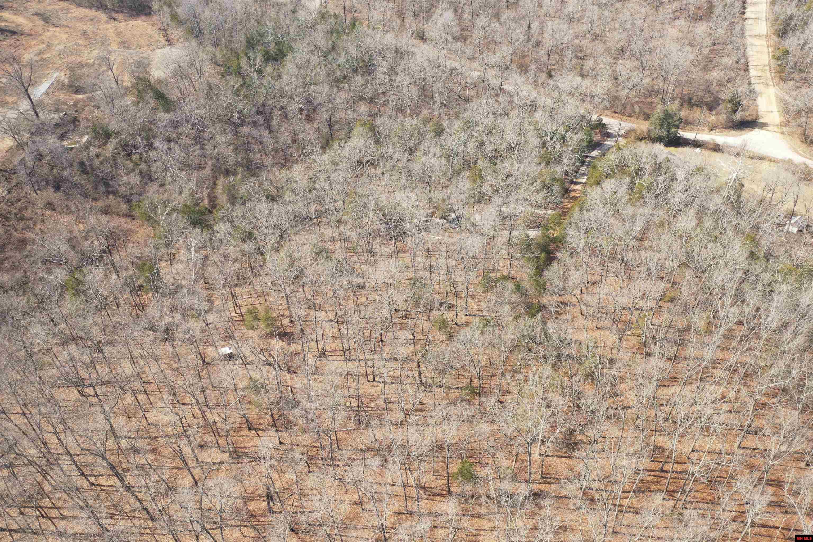 002-03609-000 Cr 989