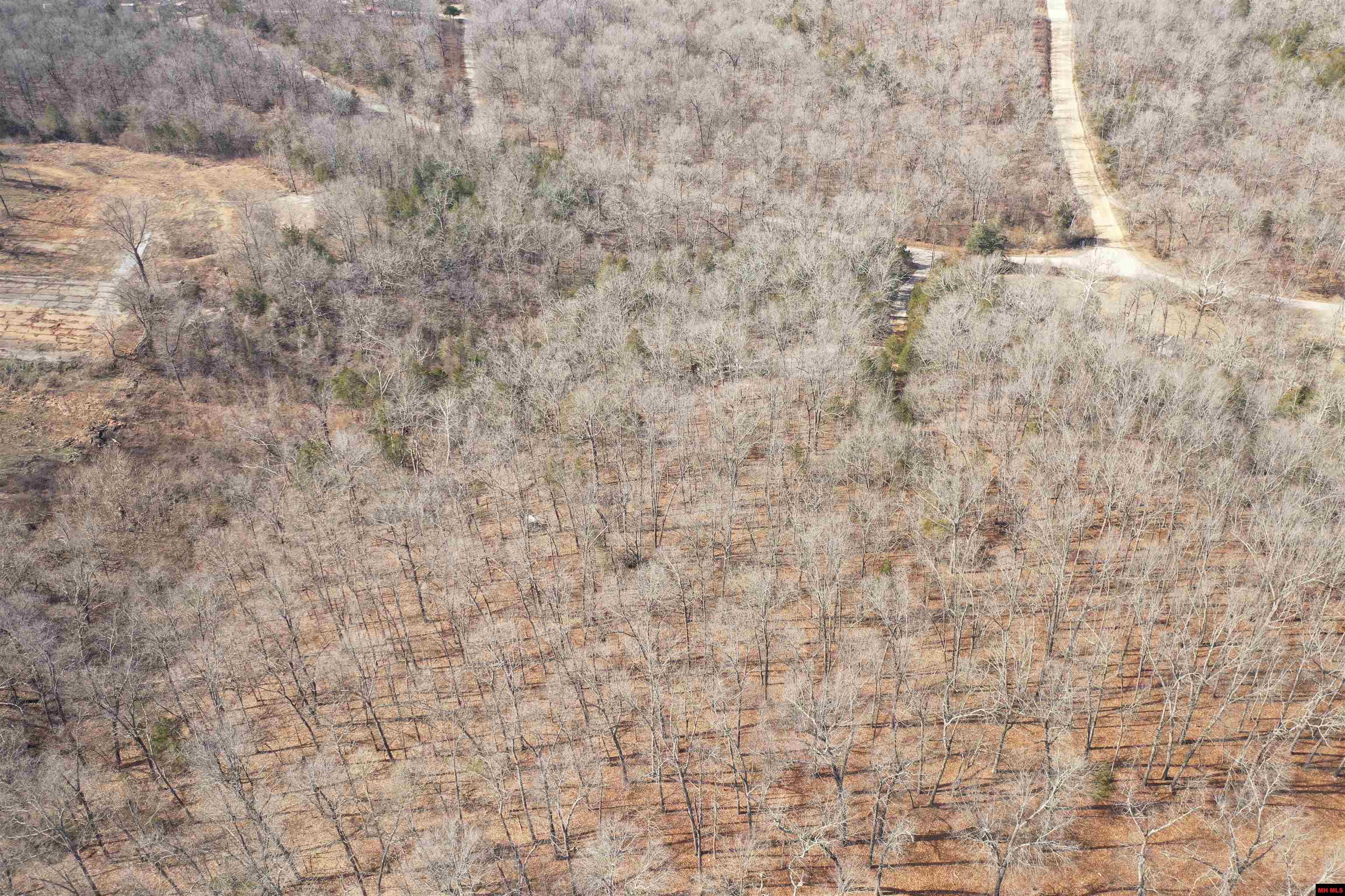 002-03609-000 Cr 989