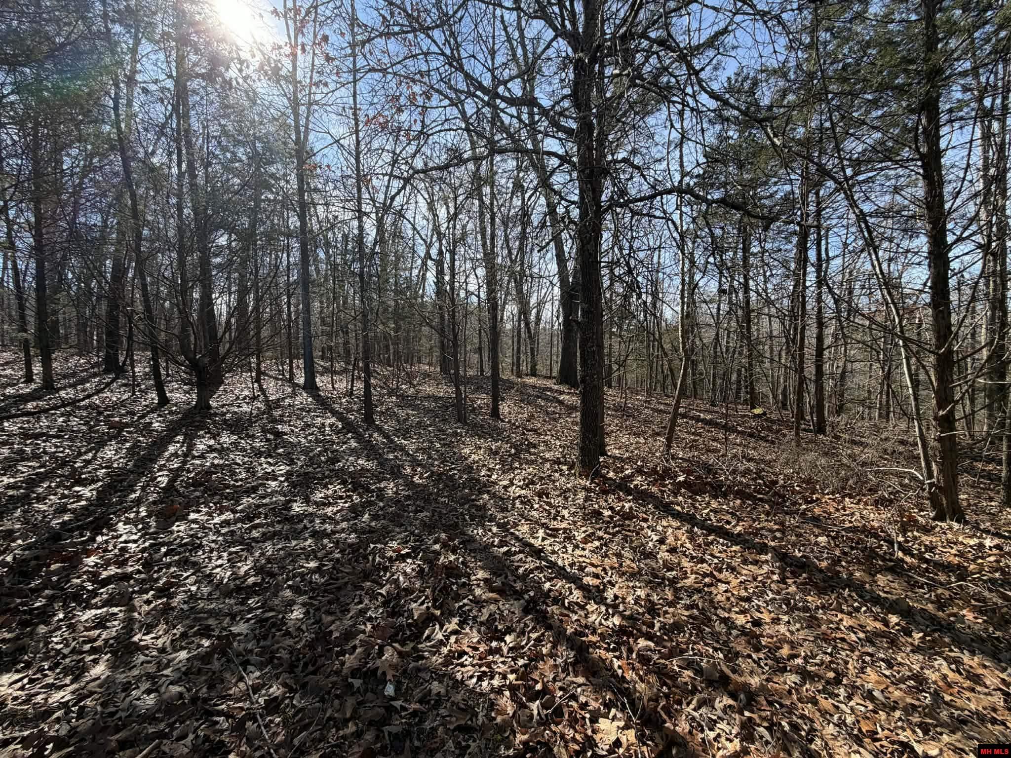 002-03609-000 Cr 989