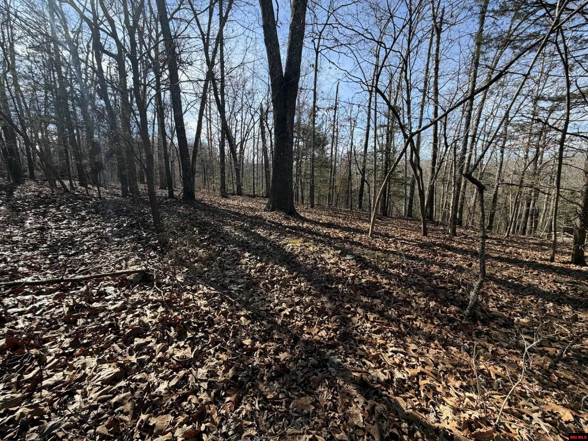 002-03609-000 Cr 989