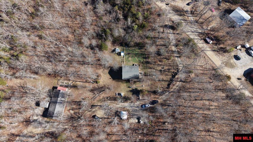 165 Green Forest Trail