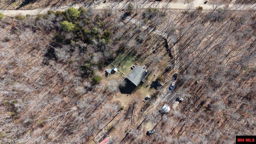 165 Green Forest Trail