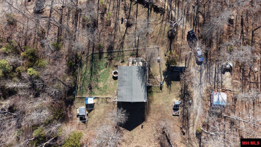 165 Green Forest Trail