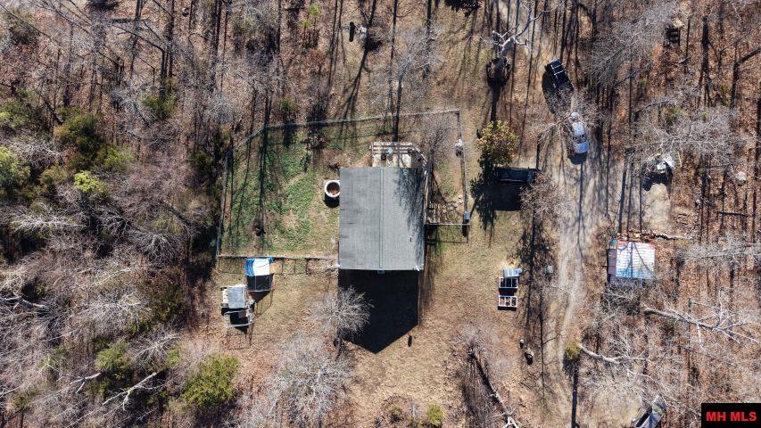 165 Green Forest Trail