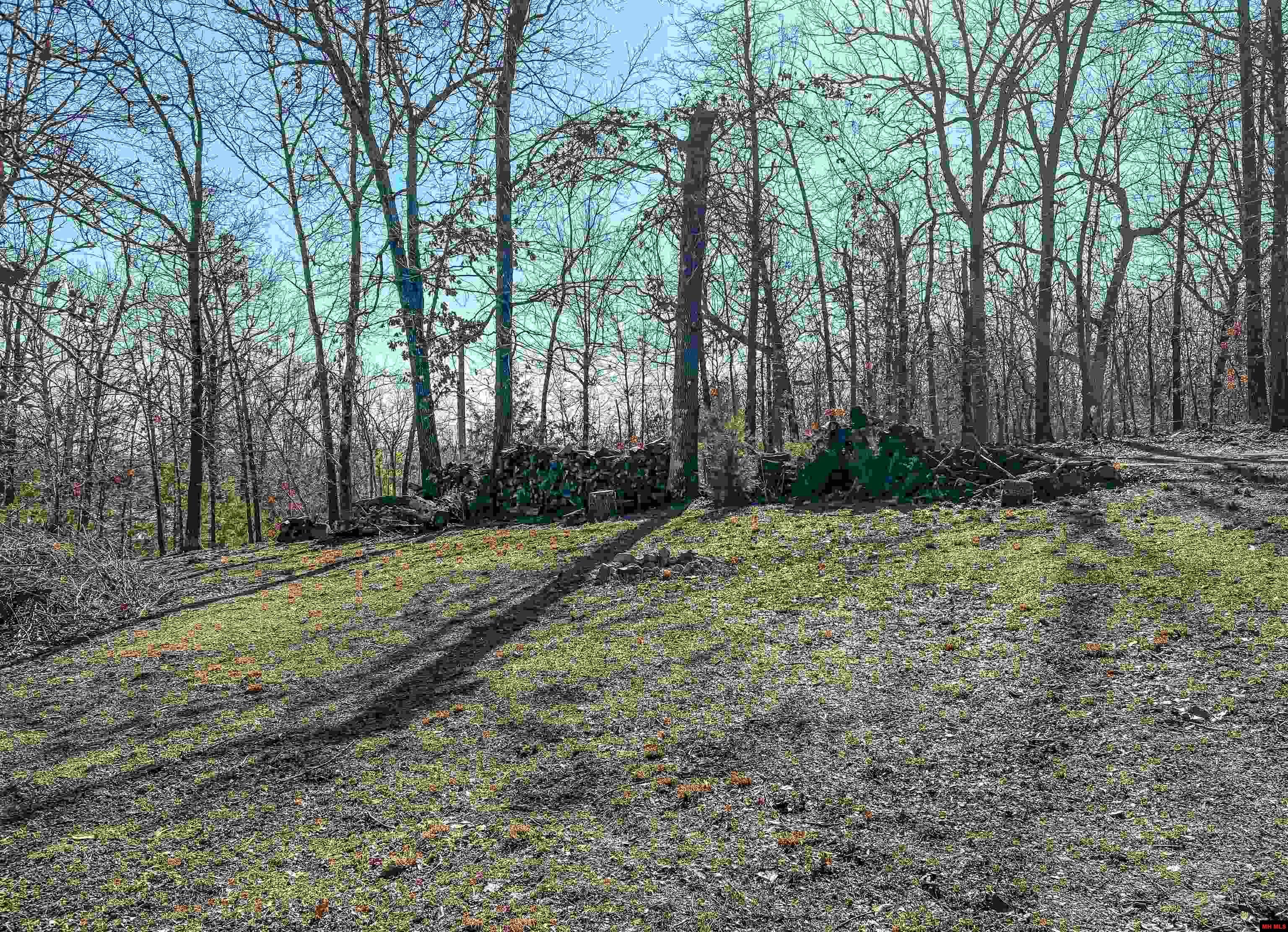 165 Green Forest Trail