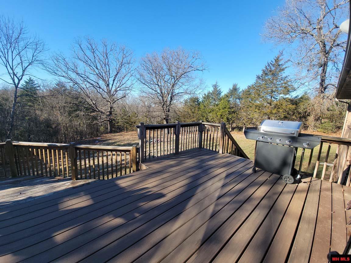 147 ABBY LANE Cotter, AR