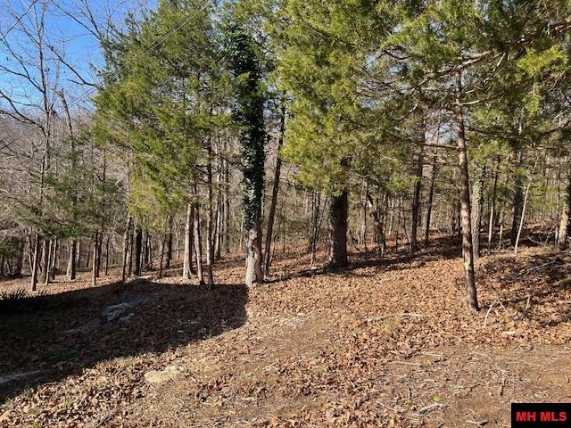 49 BANHO CIRCLE Cherokee Village, AR