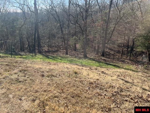 49 BANHO CIRCLE Cherokee Village, AR