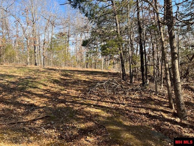 49 BANHO CIRCLE Cherokee Village, AR