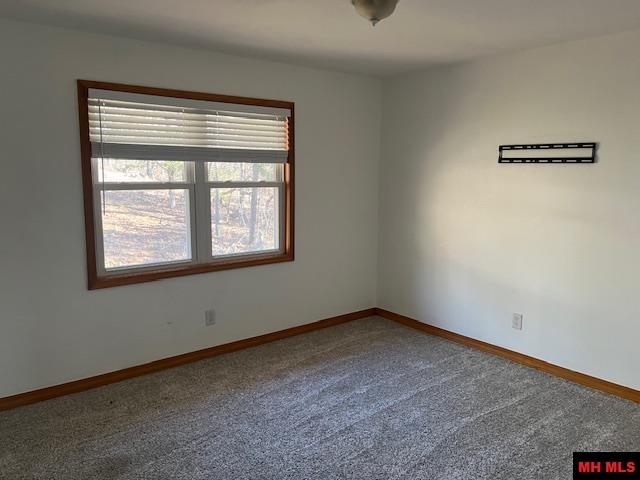 49 BANHO CIRCLE Cherokee Village, AR