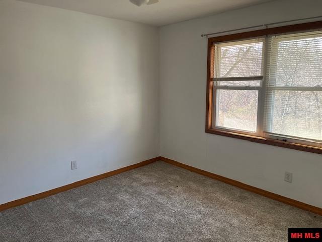 49 BANHO CIRCLE Cherokee Village, AR