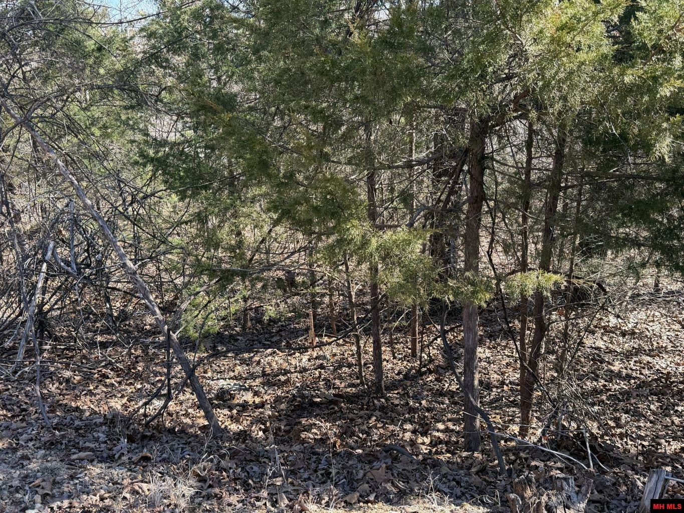 563-00031-000 North Woods Court