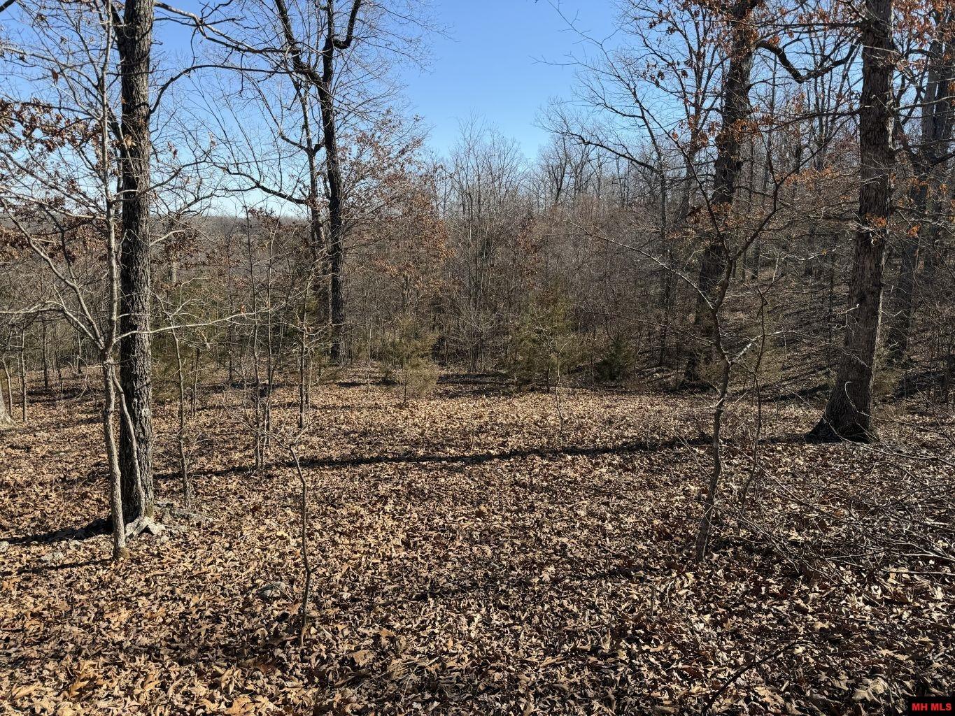 563-00031-000 North Woods Court