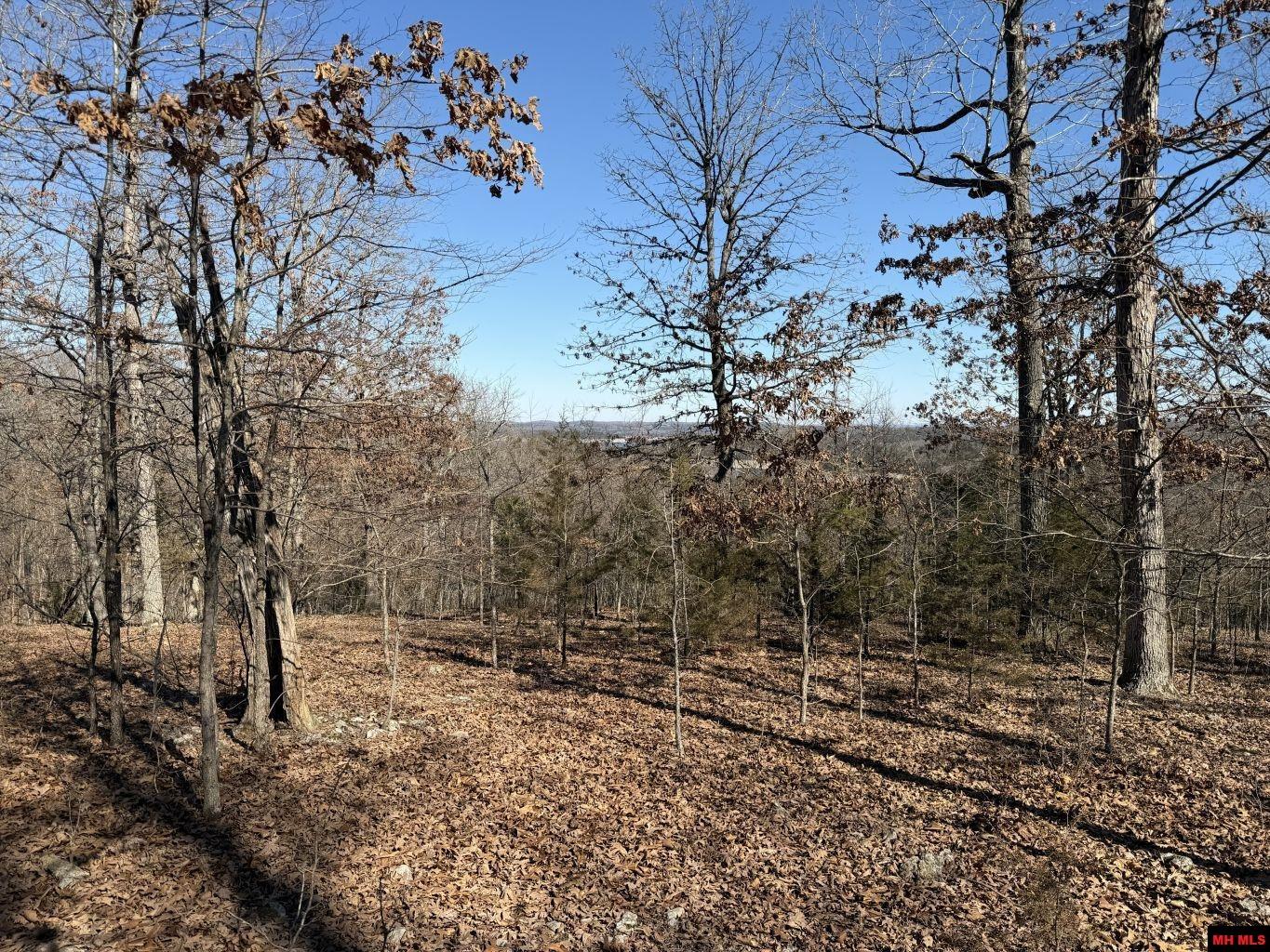 563-00031-000 North Woods Court