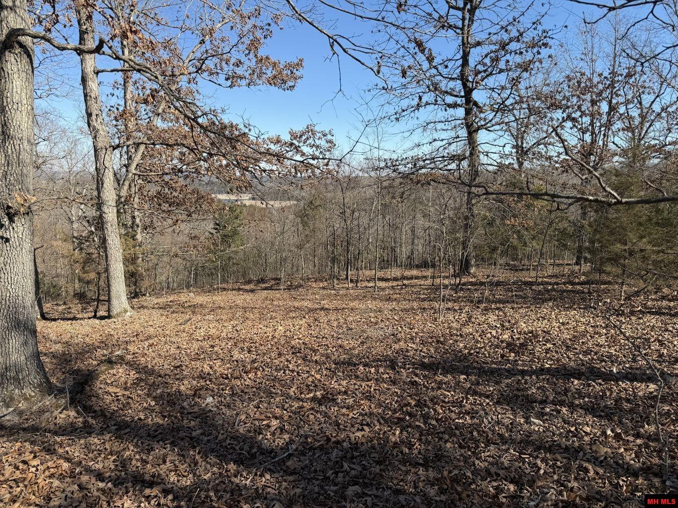 563-00031-000 North Woods Court