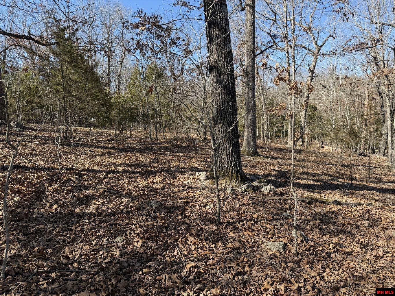 563-00031-000 North Woods Court