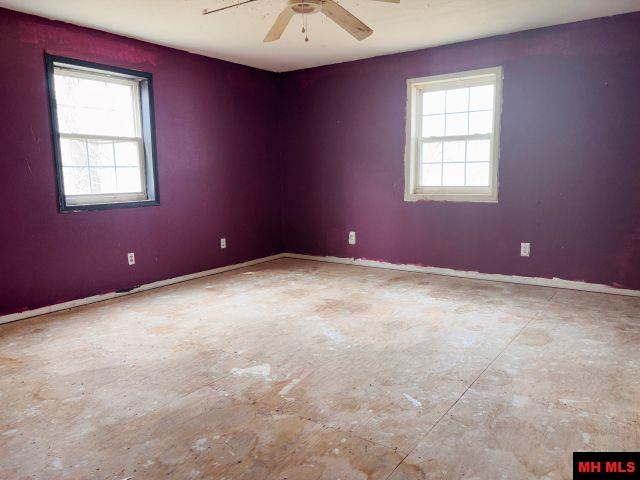 1030 BETHEL AVENUE Mammoth Spring, AR