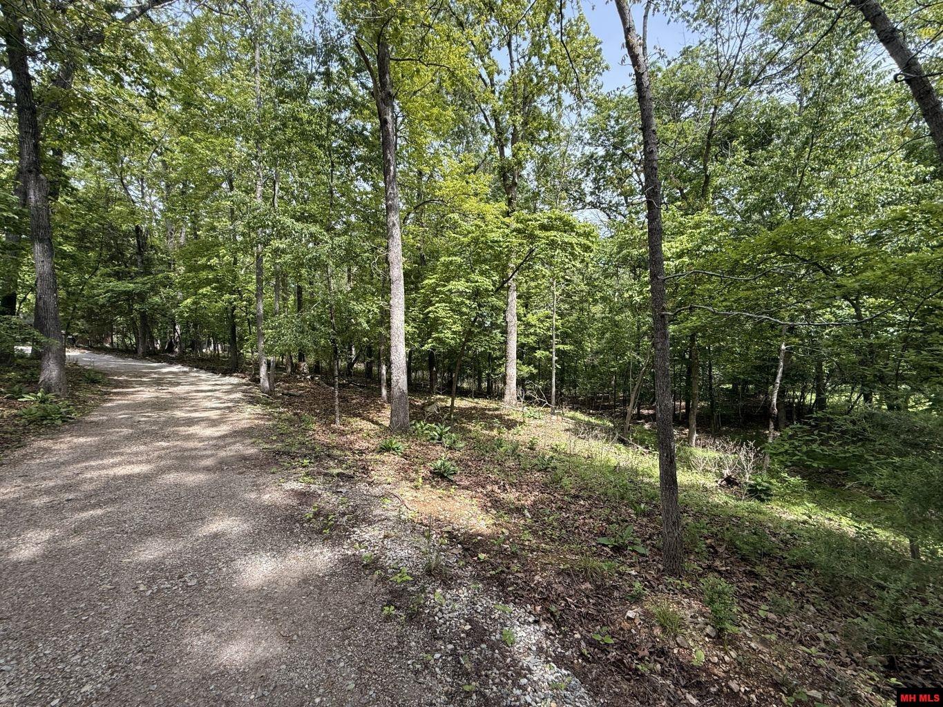 87 FLINTRIDGE COURT Mountain Home, AR 72653