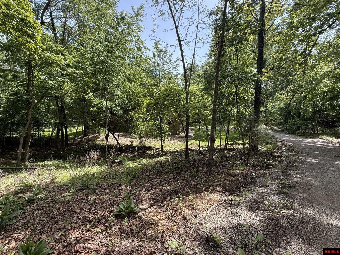 87 FLINTRIDGE COURT Mountain Home, AR 72653