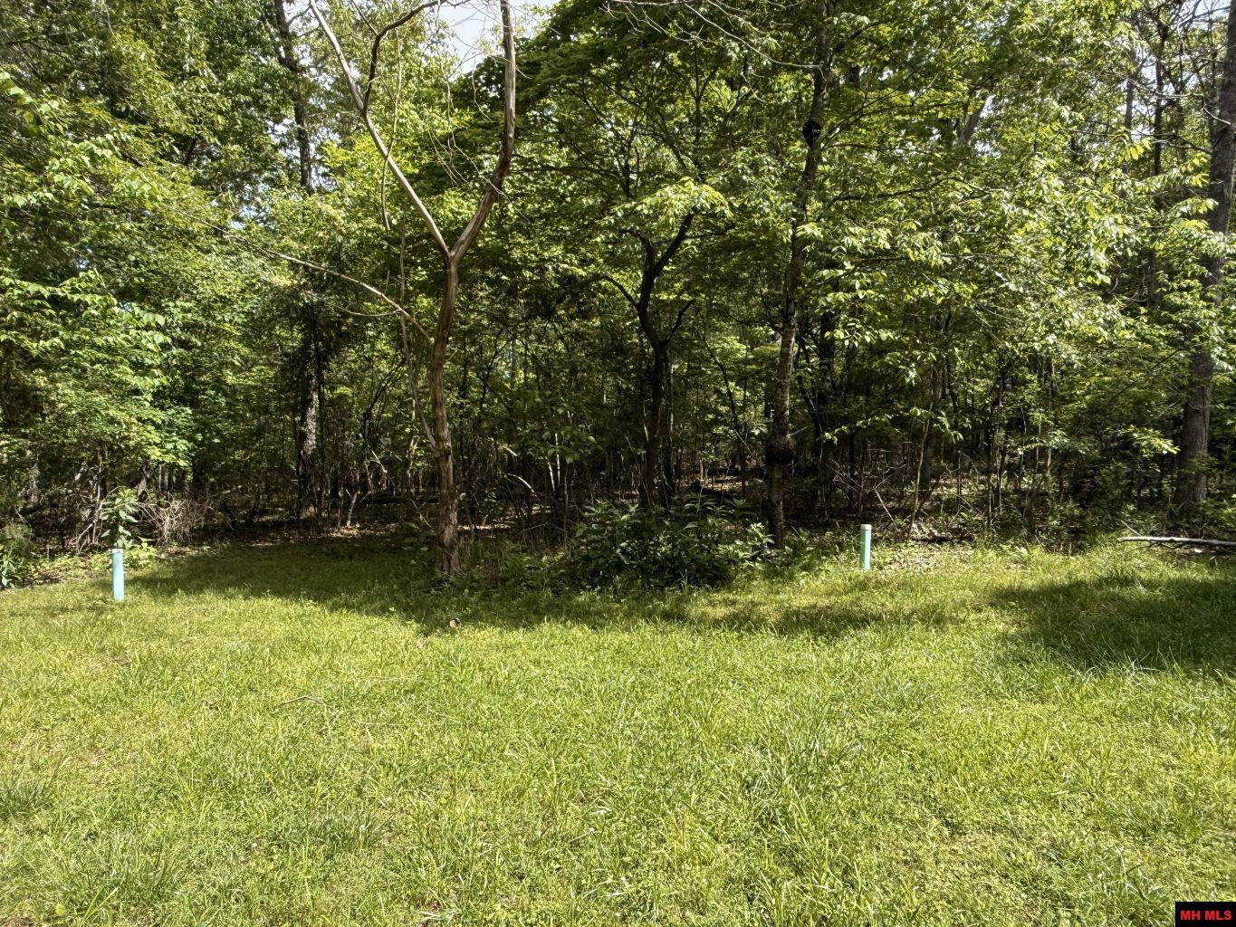 87 FLINTRIDGE COURT Mountain Home, AR 72653