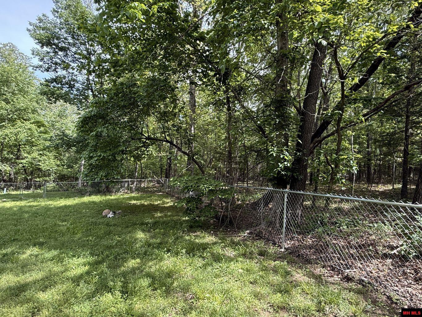 87 FLINTRIDGE COURT Mountain Home, AR 72653