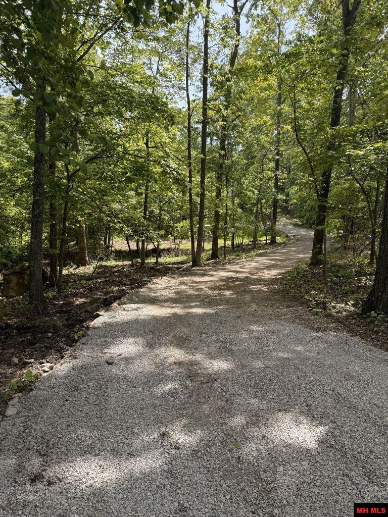 87 FLINTRIDGE COURT Mountain Home, AR 72653