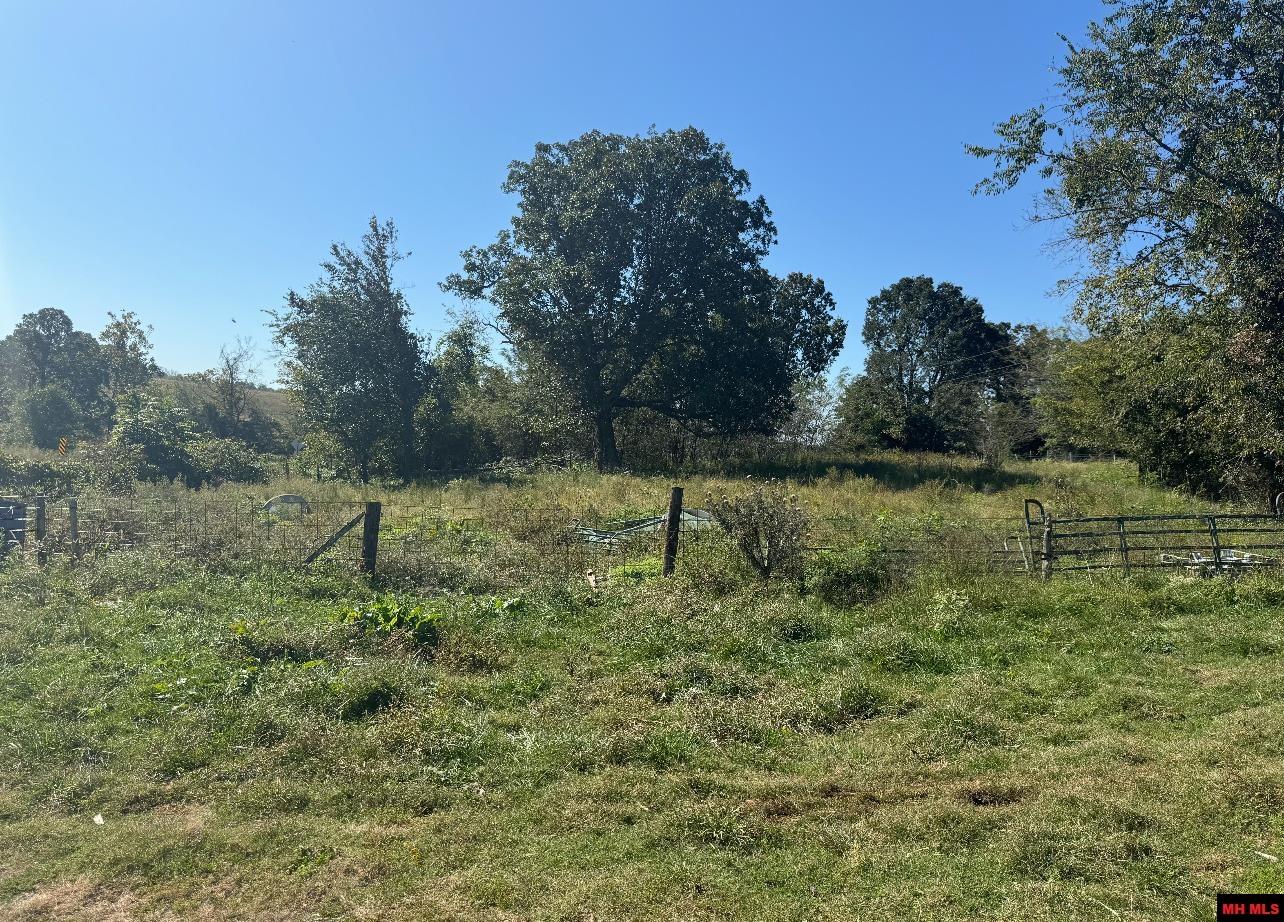 001-02718-000 HWY 101 Gamaliel, AR