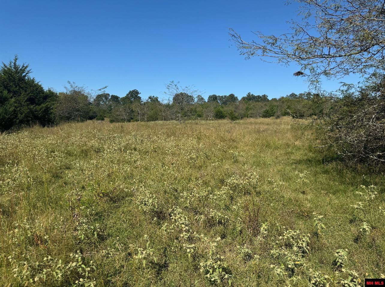 001-02718-000 HWY 101 Gamaliel, AR