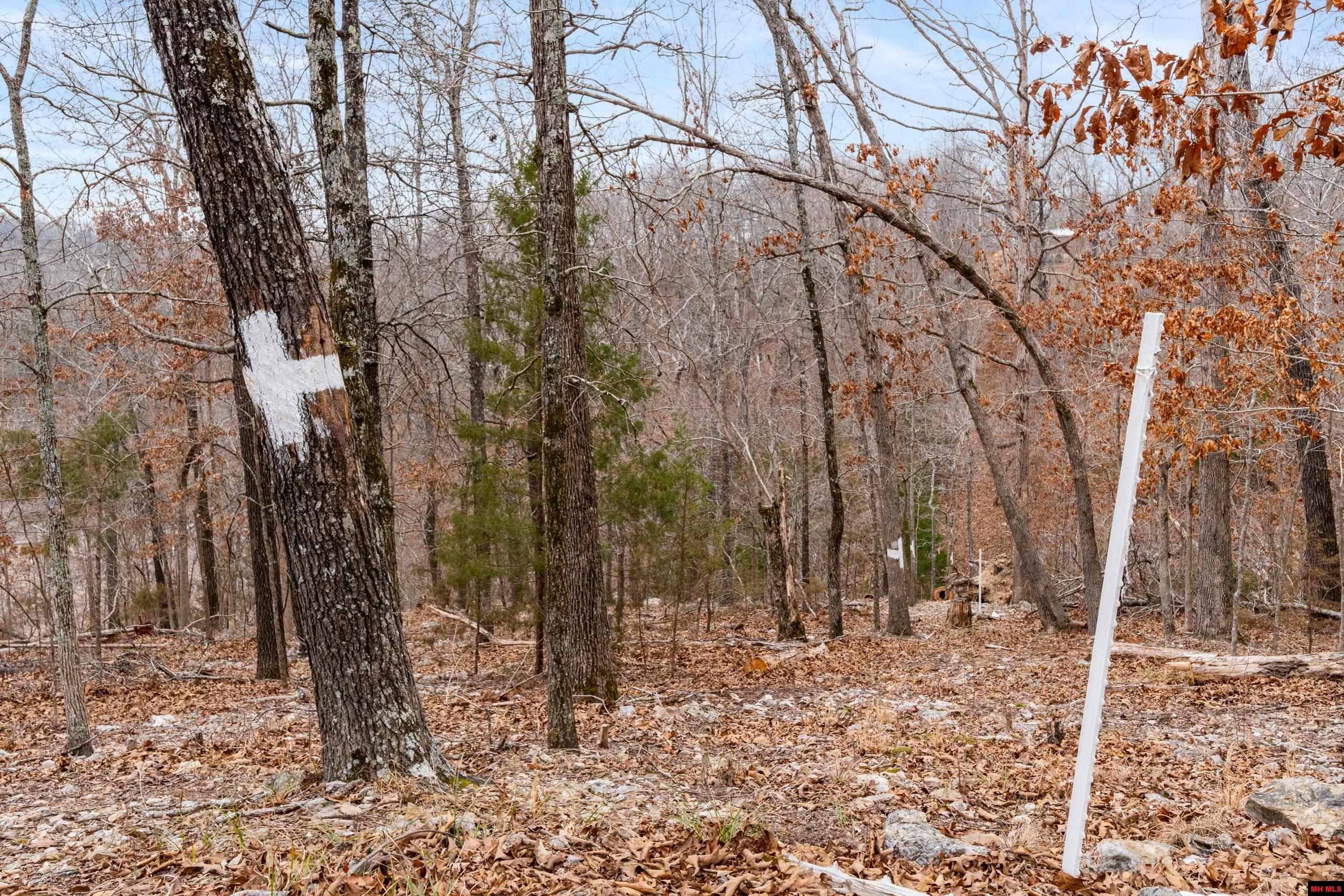 Lot 20 Belle Cove Road