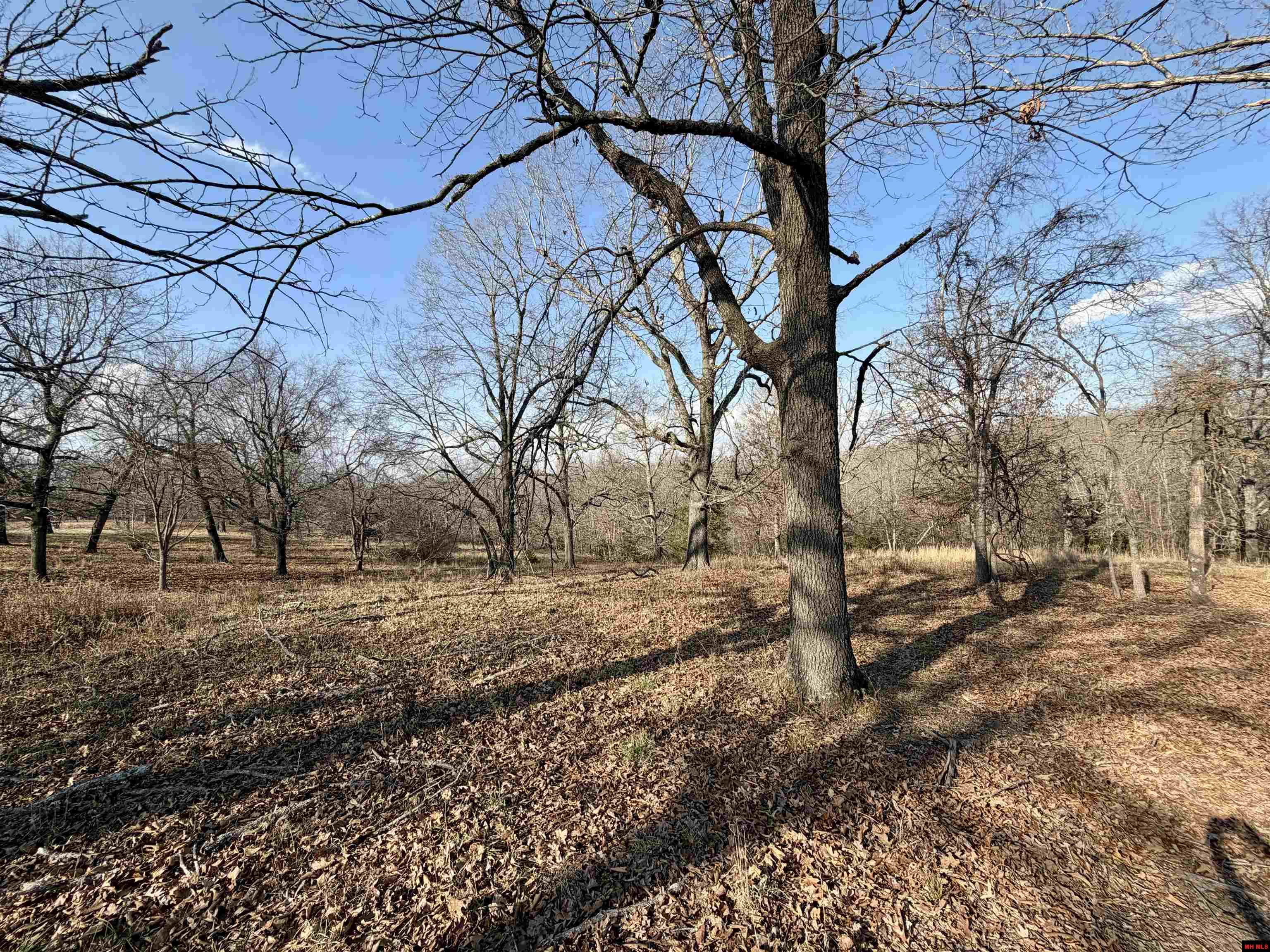 001-08299-004 Wildcat Shoals Road