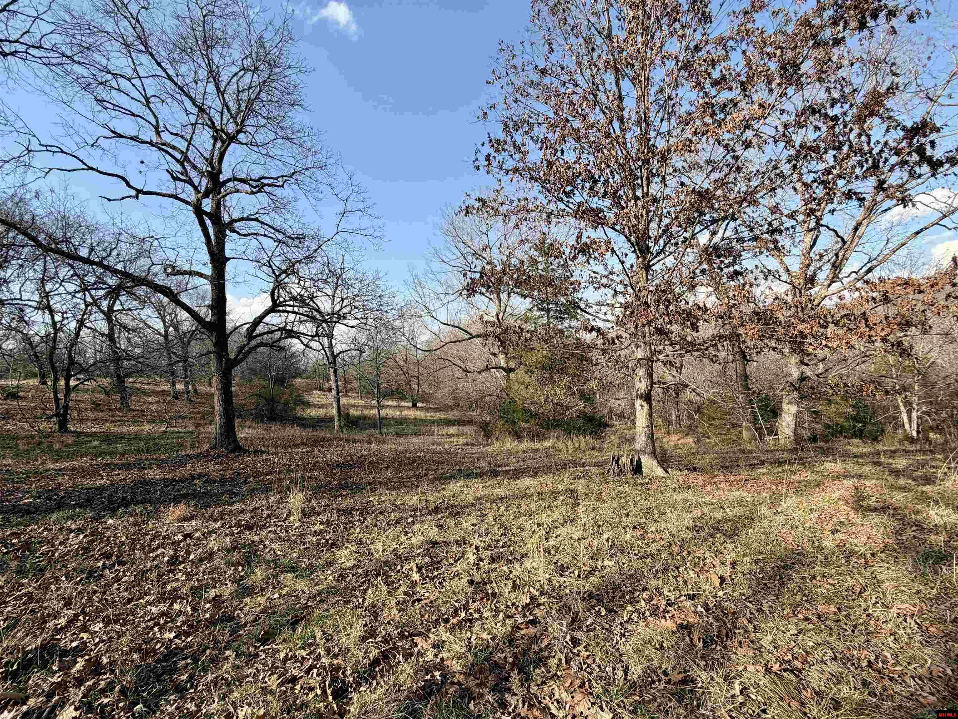 001-08299-004 Wildcat Shoals Road