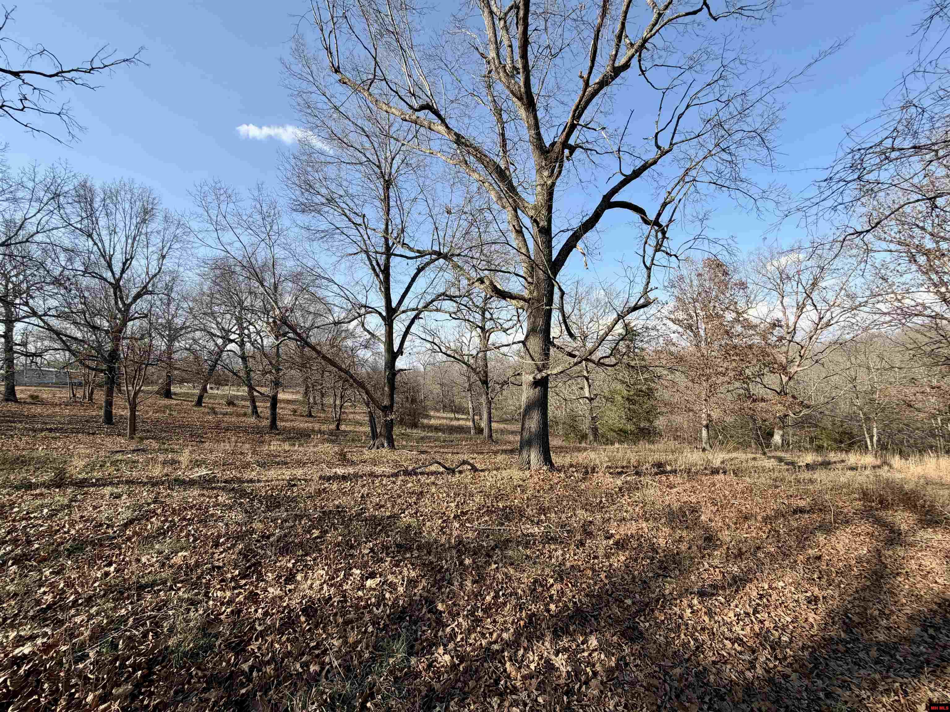 001-08299-004 Wildcat Shoals Road