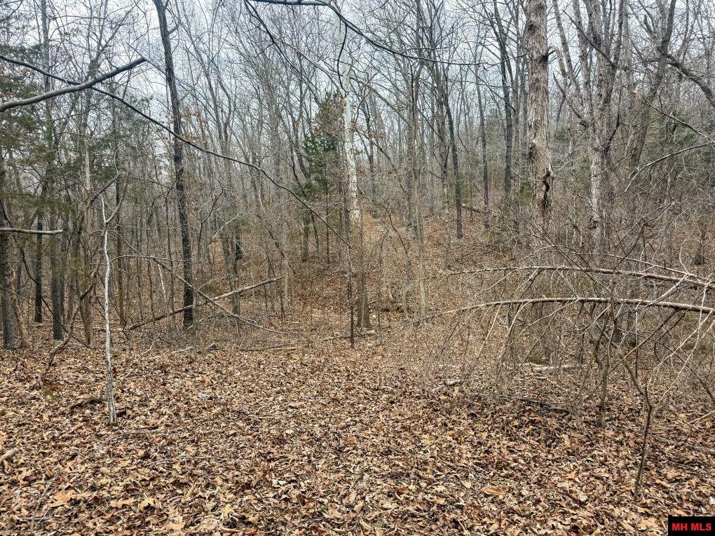 001-08299-004 Wildcat Shoals Road