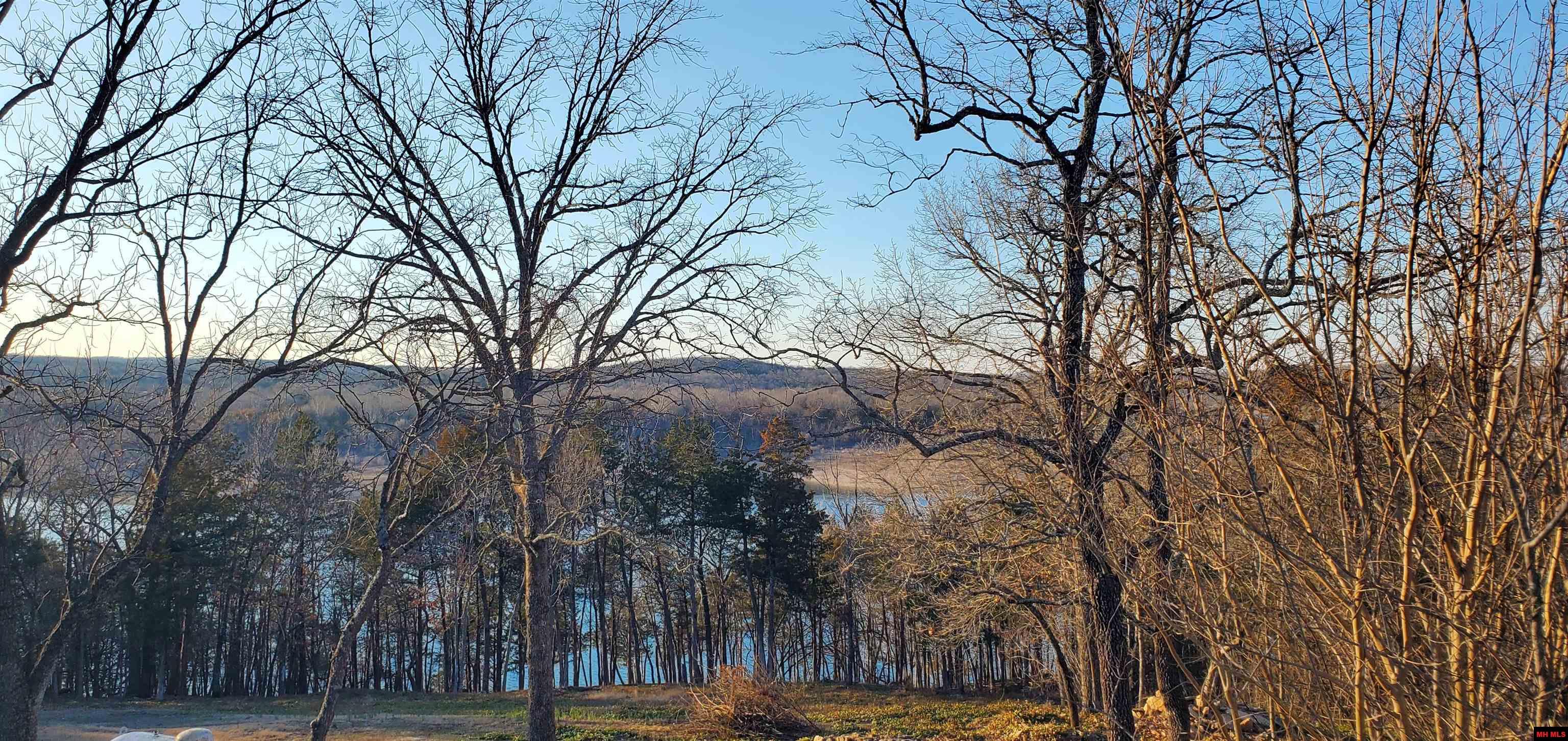 775-01003-000 W Larchwood