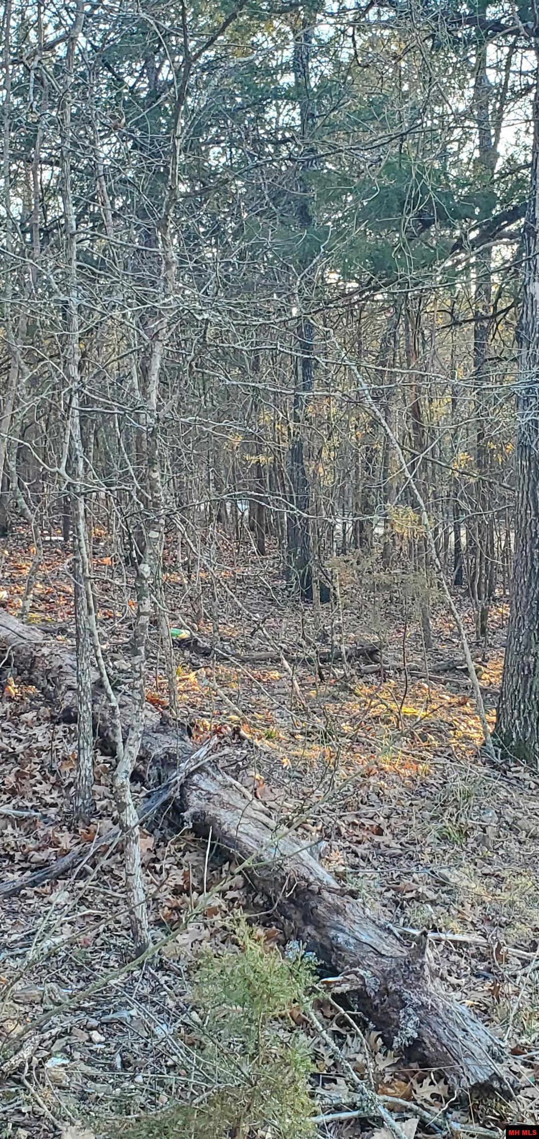 775-01003-000 W Larchwood