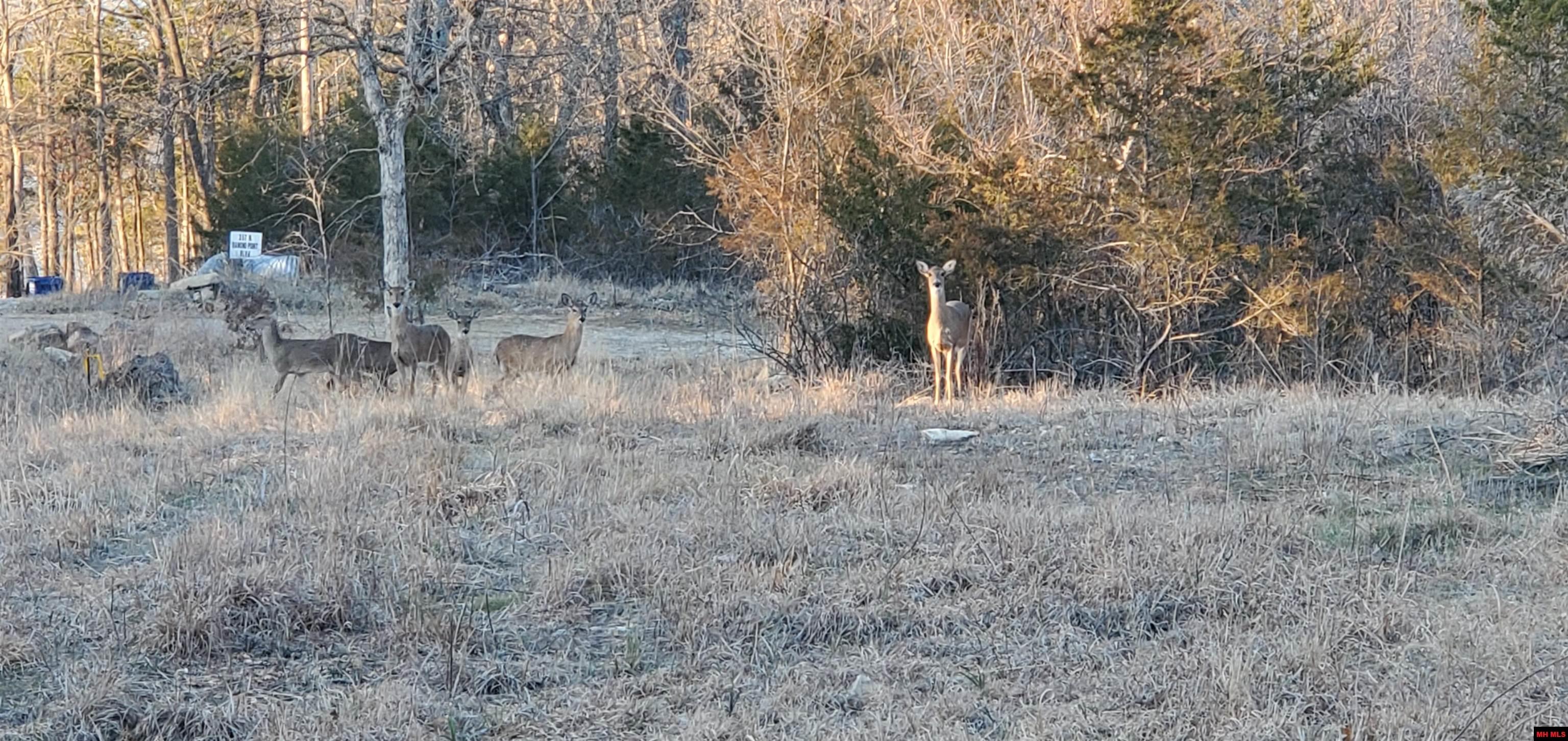 775-01003-000 W Larchwood