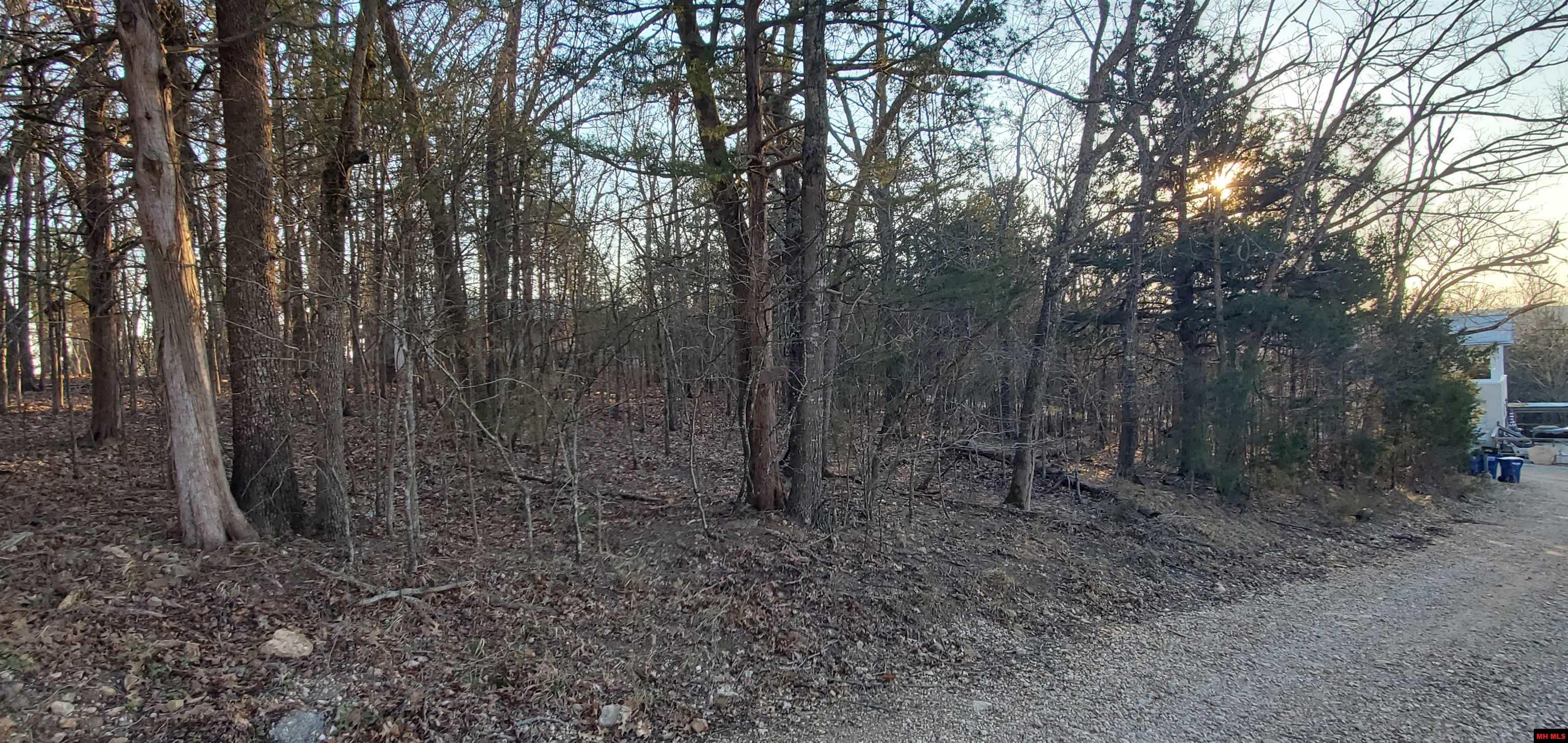 775-01003-000 W Larchwood