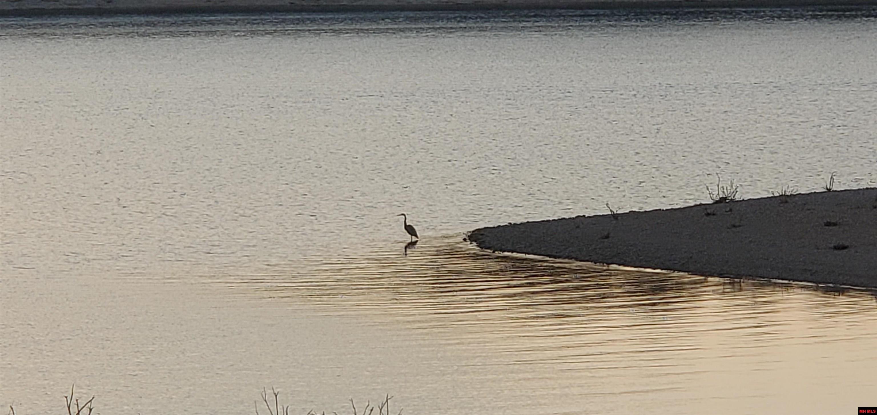 775-01003-000 W Larchwood