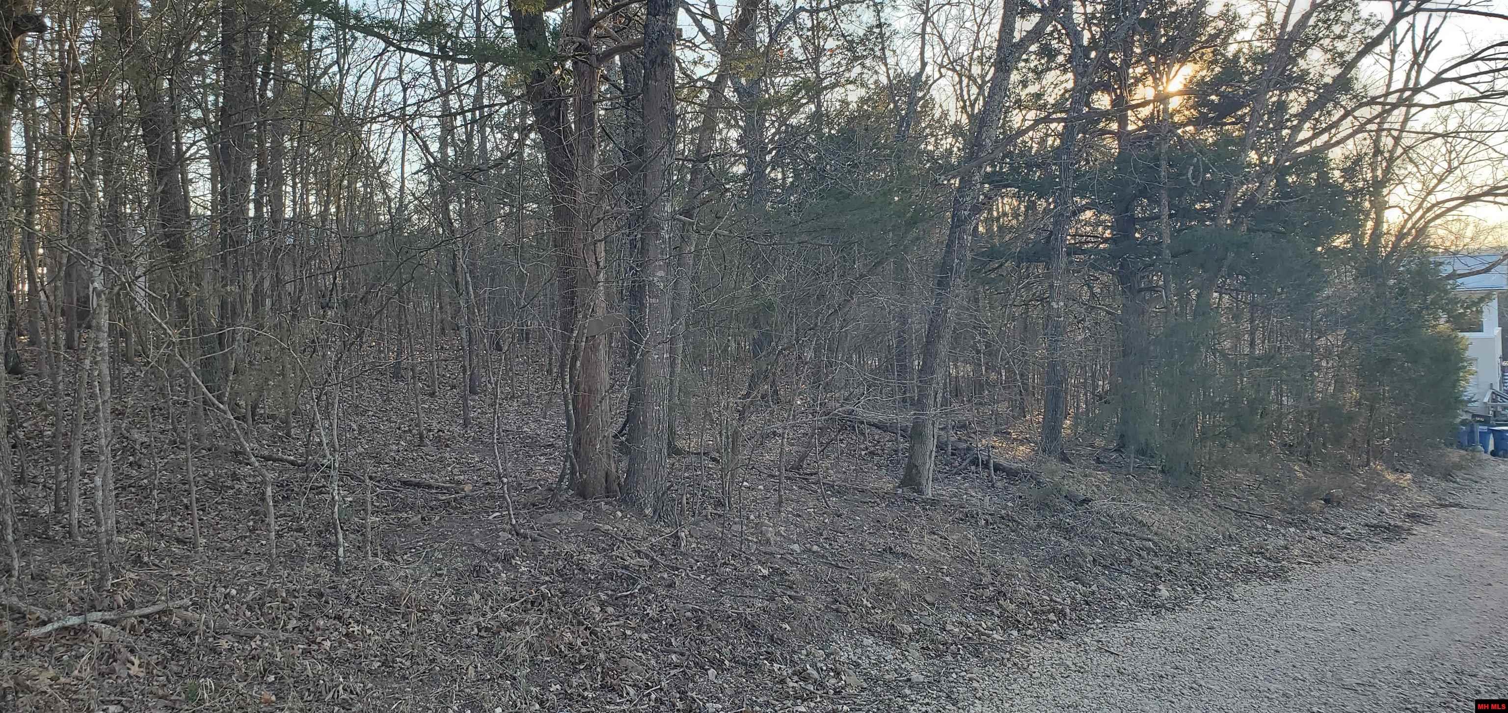 775-01003-000 W Larchwood