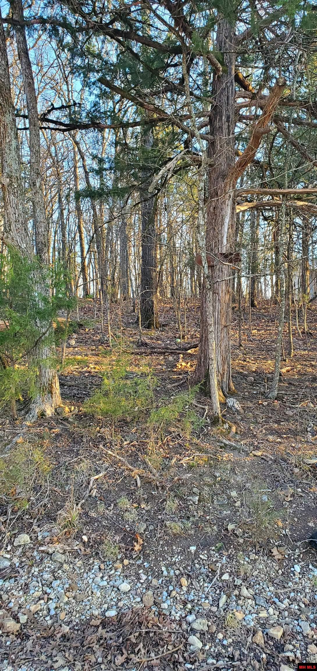 775-01003-000 W Larchwood