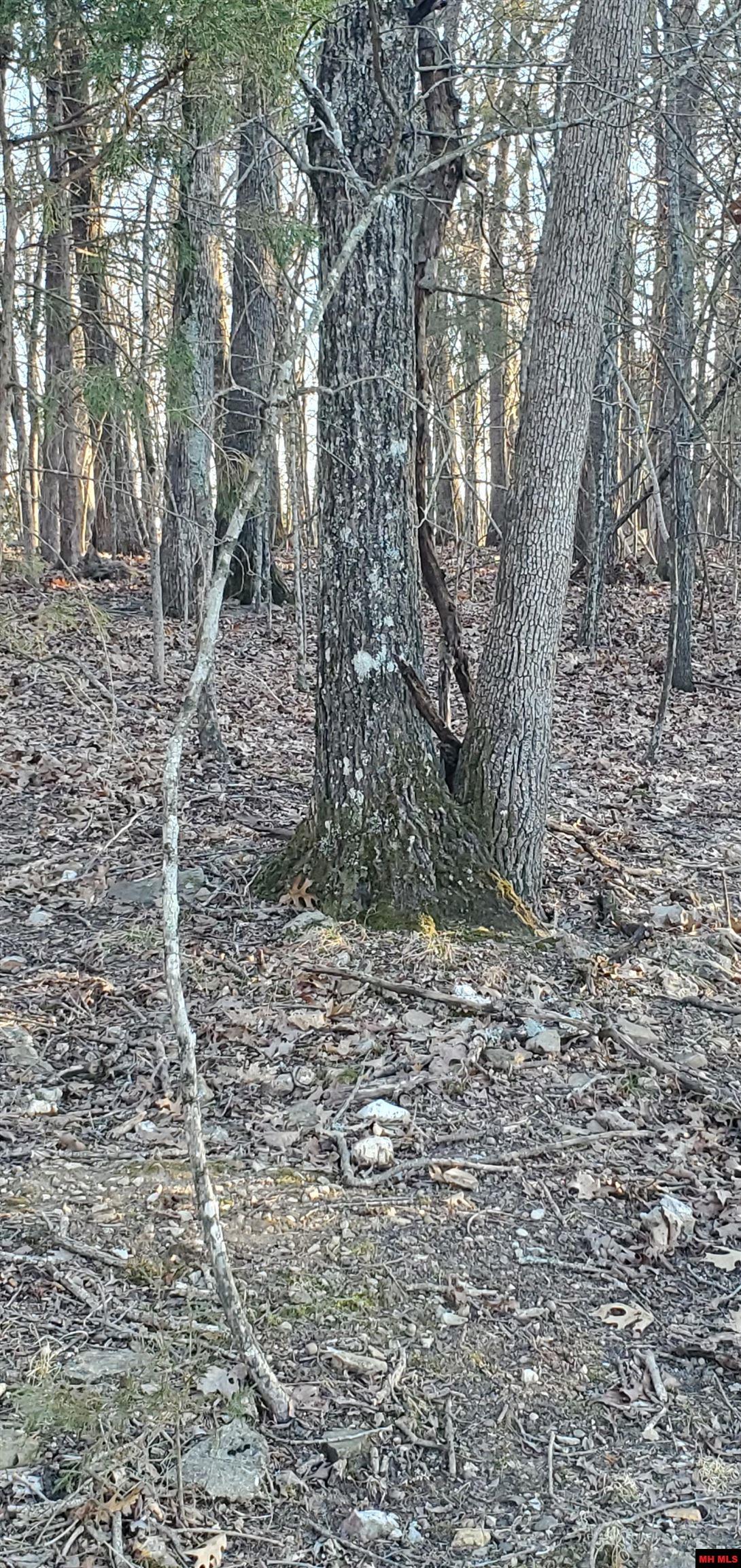 775-01003-000 W Larchwood