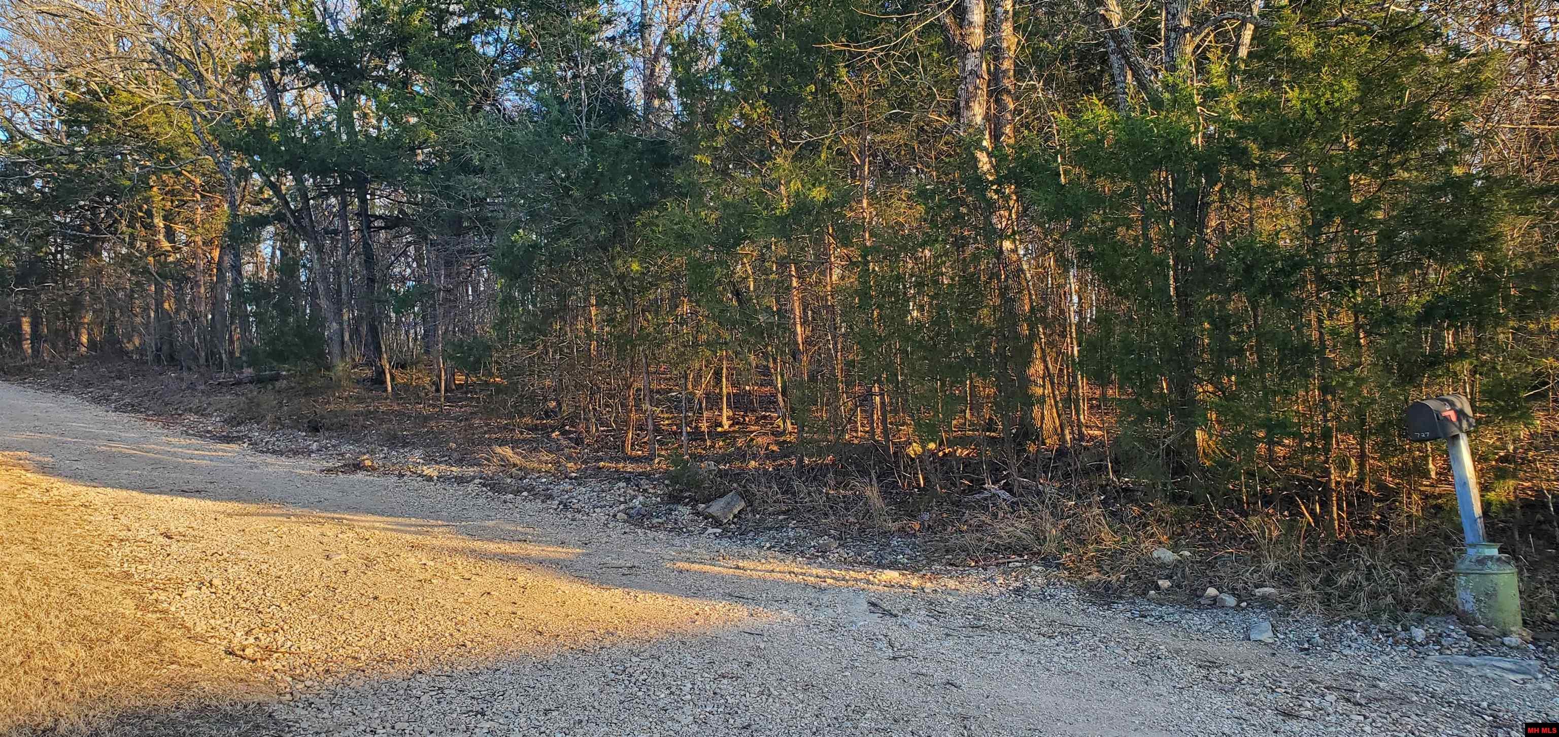 775-01003-000 W Larchwood