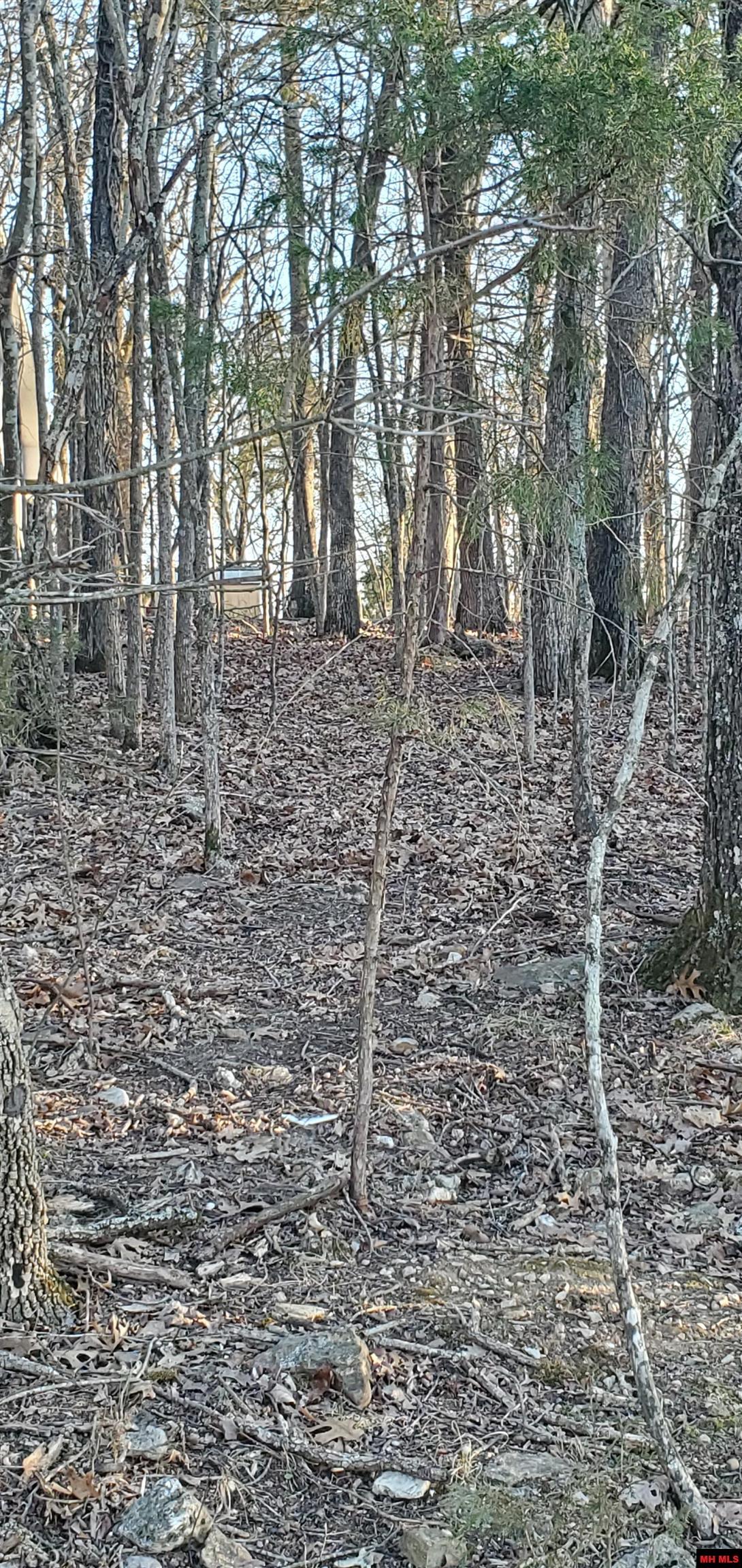 775-01003-000 W Larchwood