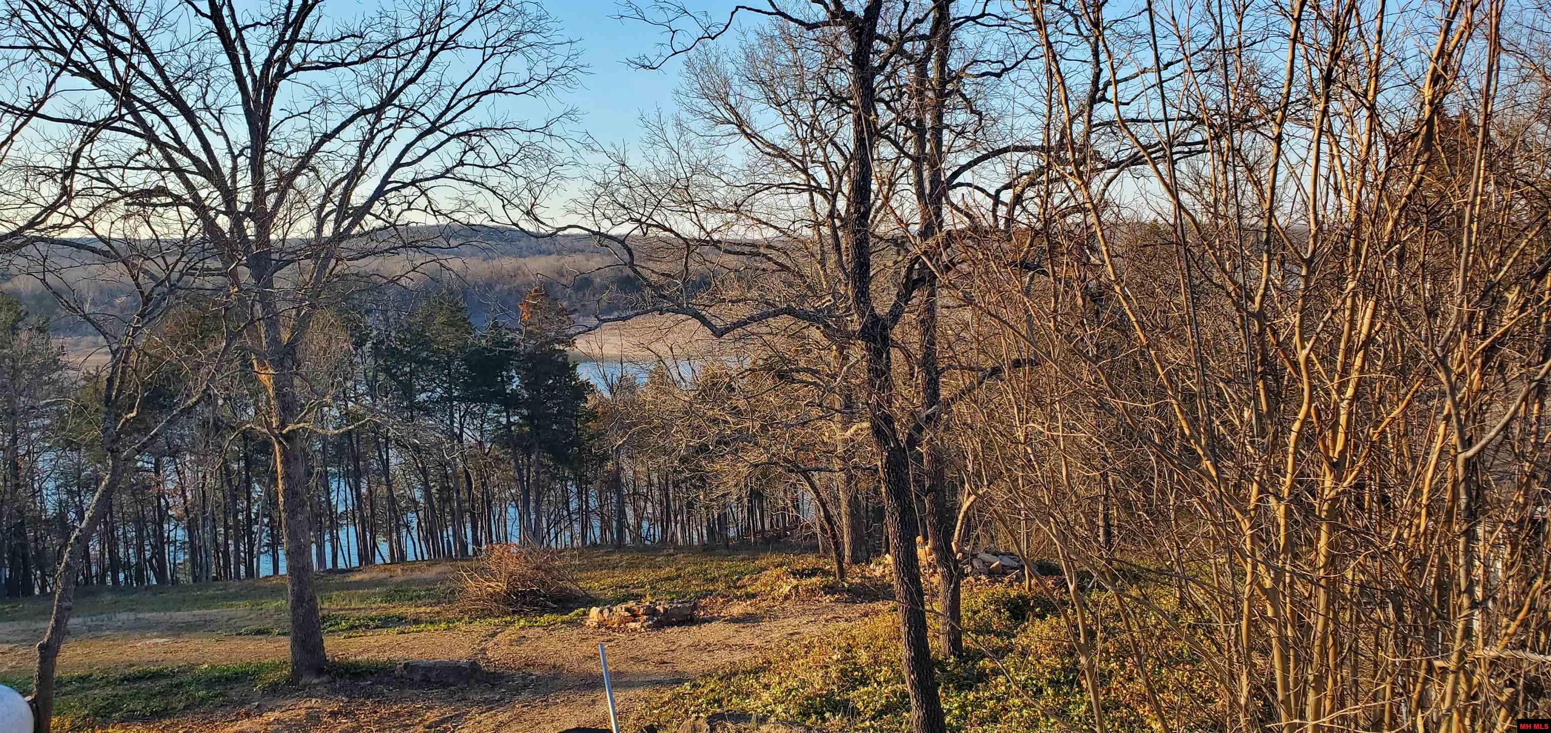 775-01003-000 W Larchwood