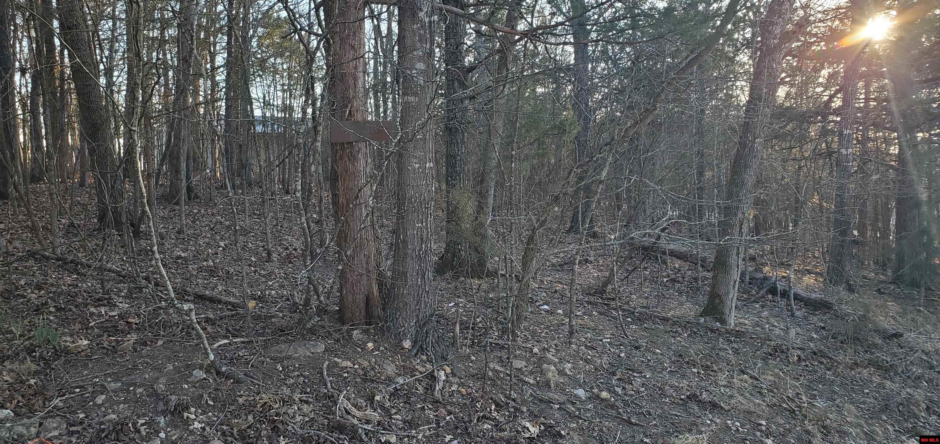 775-01003-000 W Larchwood