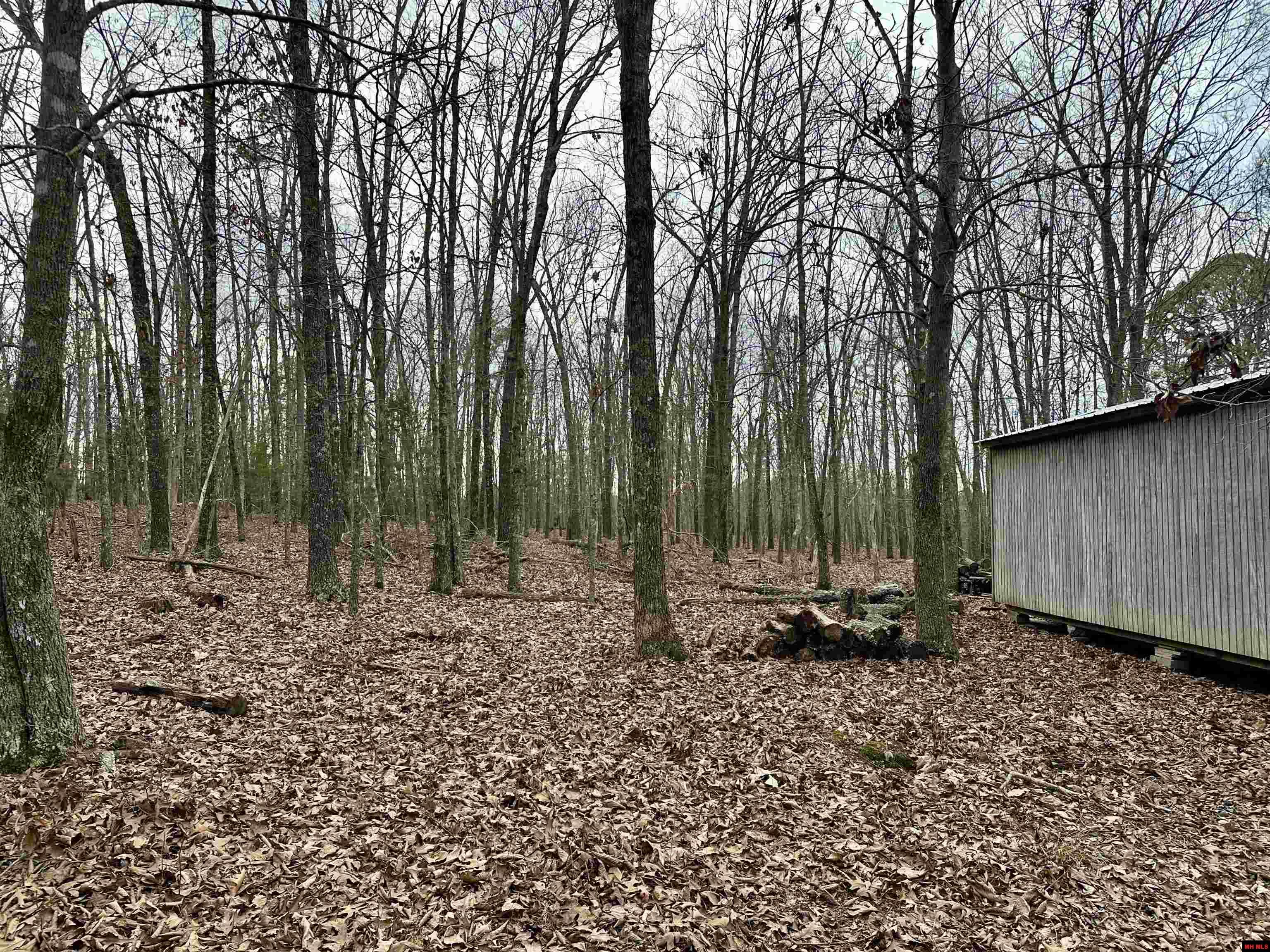 001-09782-000 Redbird Lane