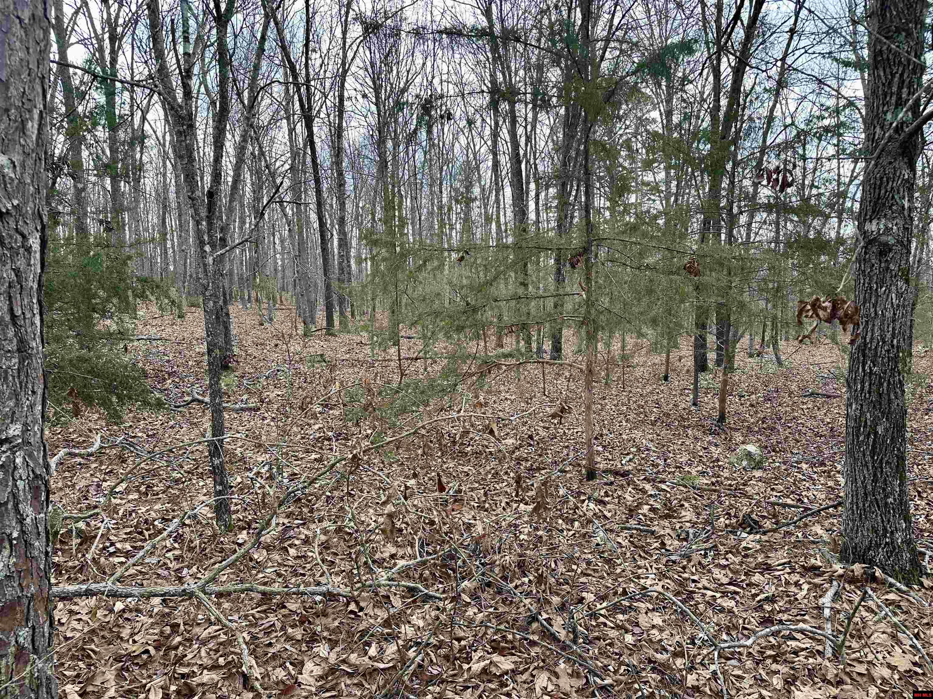 001-09782-000 Redbird Lane