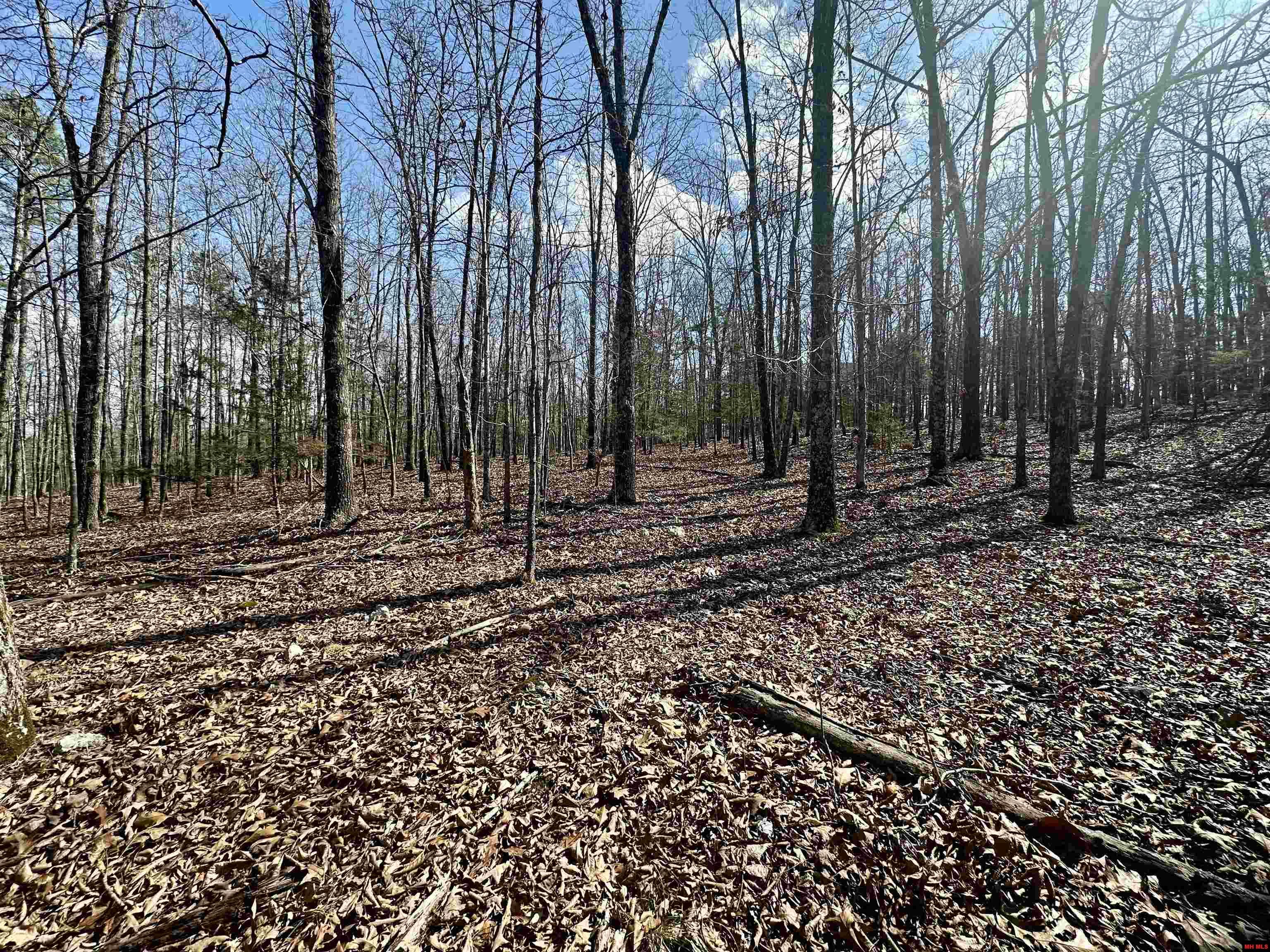 001-09782-000 Redbird Lane